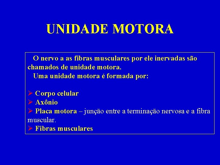 UNIDADE MOTORA O nervo a as fibras musculares por ele inervadas são chamados de
