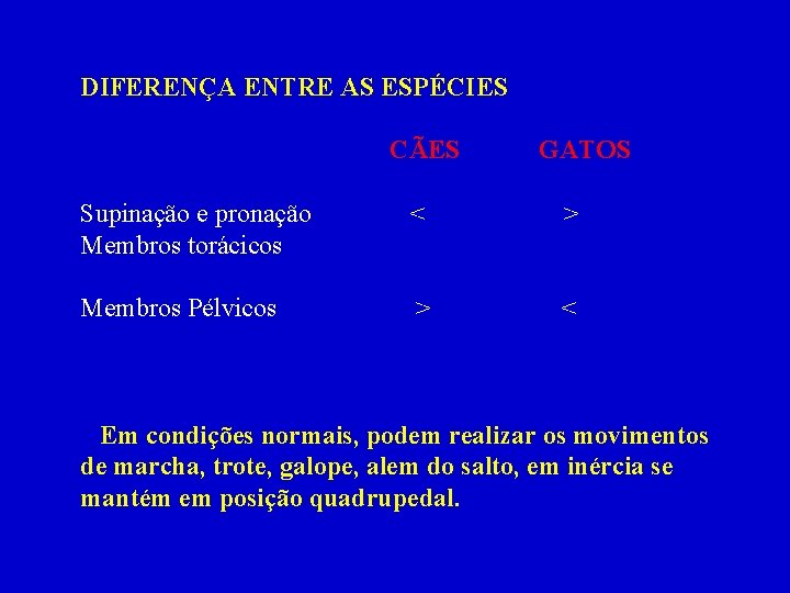 DIFERENÇA ENTRE AS ESPÉCIES CÃES GATOS Supinação e pronação Membros torácicos < > Membros