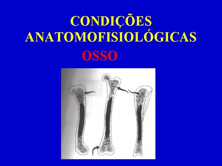 CONDIÇÕES ANATOMOFISIOLÓGICAS OSSO 