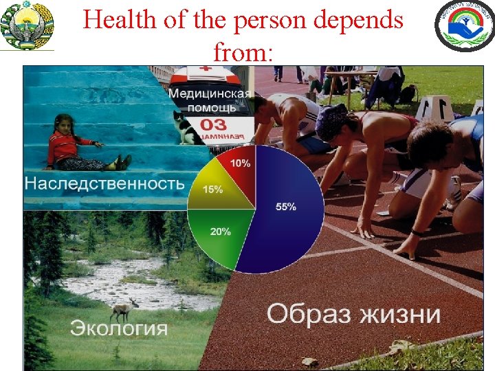 Health of the person depends from: 