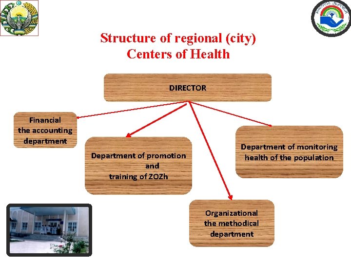 Structure of regional (city) Centers of Health DIRECTOR Financial the accounting department Department of