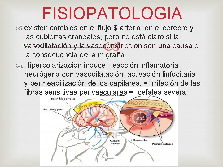 FISIOPATOLOGIA existen cambios en el flujo $ arterial en el cerebro y las cubiertas