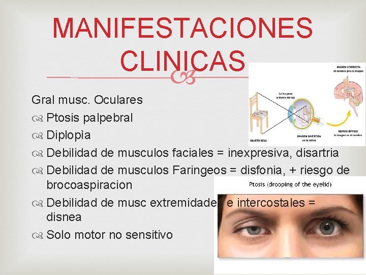 MANIFESTACIONES CLINICAS Gral musc. Oculares Ptosis palpebral Diplopìa Debilidad de musculos faciales = inexpresiva,