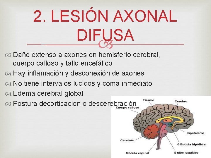 2. LESIÓN AXONAL DIFUSA Daño extenso a axones en hemisferio cerebral, cuerpo calloso y