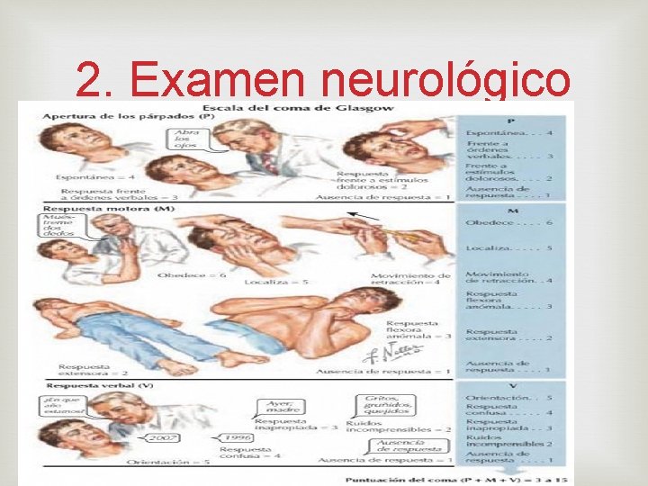 2. Examen neurológico 