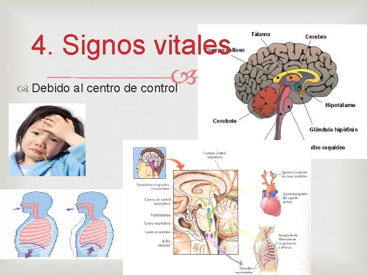 4. Signos vitales Debido al centro de control 