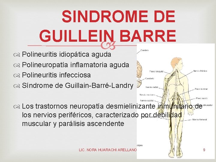 SINDROME DE GUILLEIN BARRE Polineuritis idiopática aguda Polineuropatía inflamatoria aguda Polineuritis infecciosa Síndrome de