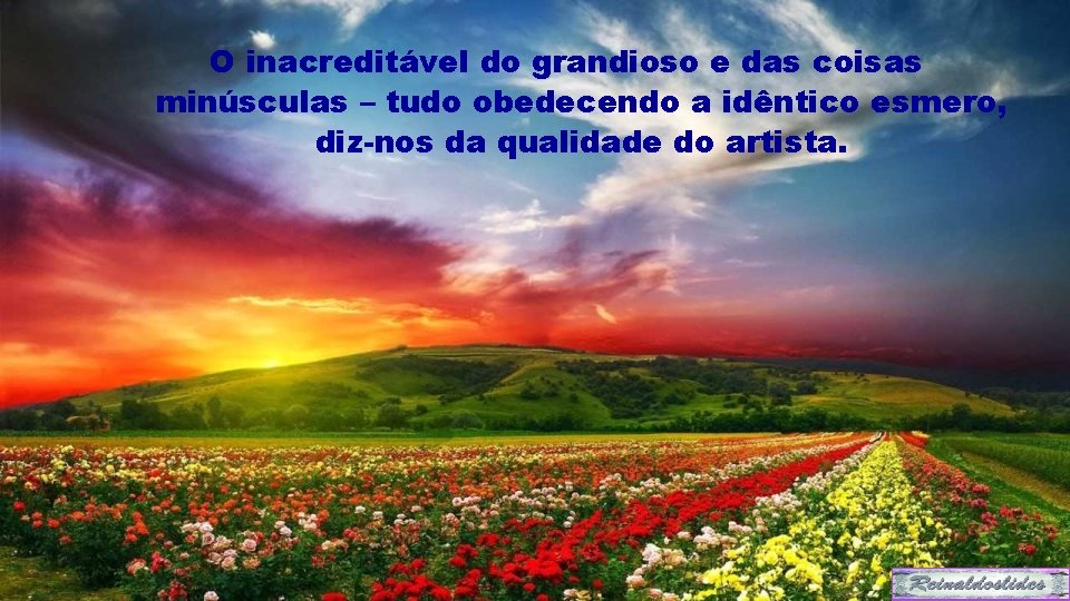 O inacreditável do grandioso e das coisas minúsculas – tudo obedecendo a idêntico esmero,