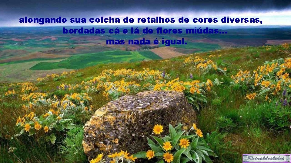 alongando sua colcha de retalhos de cores diversas, bordadas cá e lá de flores