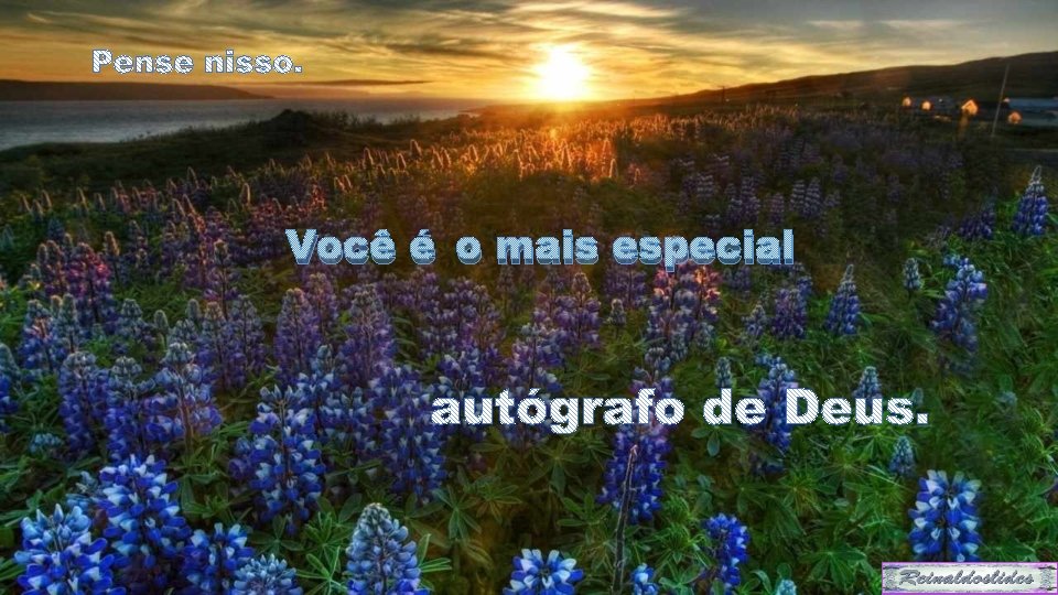 Você é o mais especial 