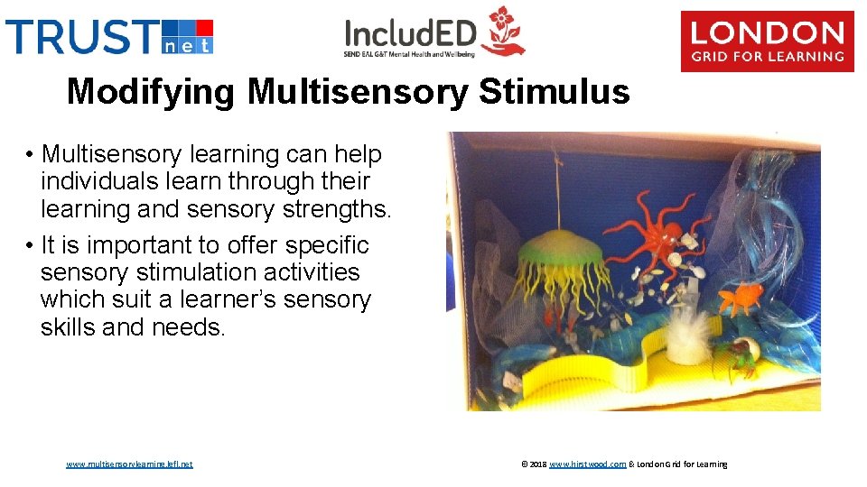1 The Senses and Multisensory Learning The Importance