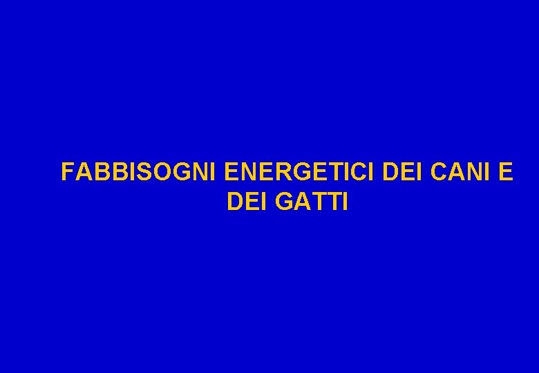 FABBISOGNI ENERGETICI DEI CANI E DEI GATTI 