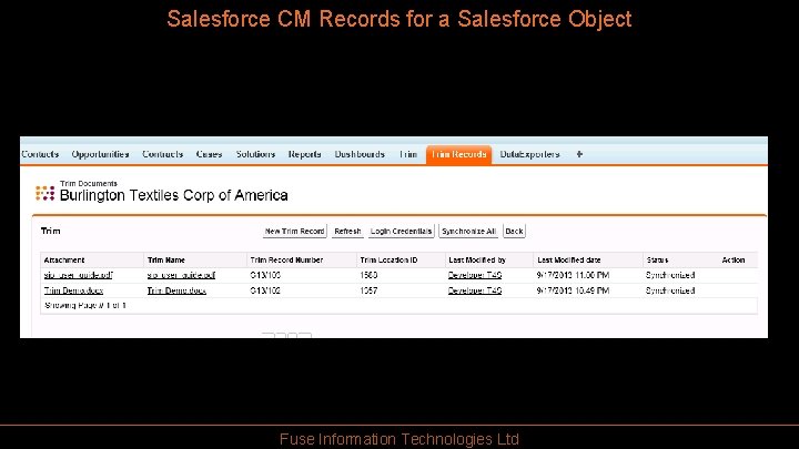 Salesforce CM Records for a Salesforce Object Fuse Information Technologies Ltd 