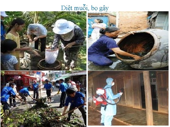 Diệt muỗi, bọ gậy 