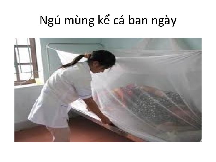 Ngủ mùng kể cả ban ngày 
