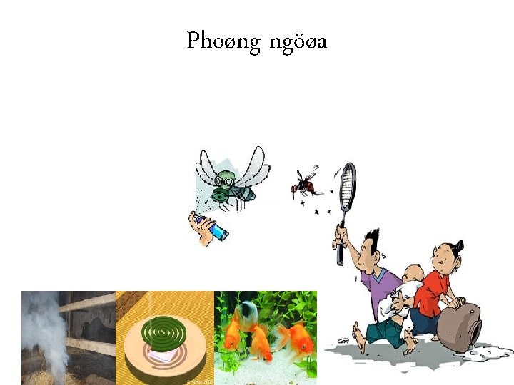 Phoøng ngöøa 