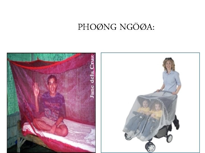 PHOØNG NGÖØA: 