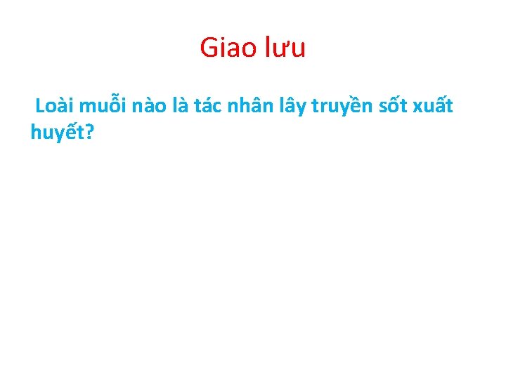 Giao lưu Loài muỗi nào là tác nhân lây truyền sốt xuất huyết? 