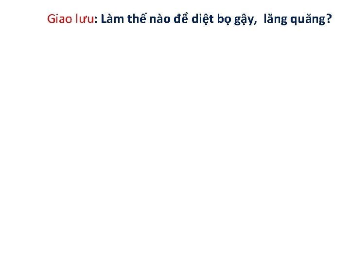 Giao lưu: Làm thế nào để diệt bọ gậy, lăng quăng? - Làm nắp