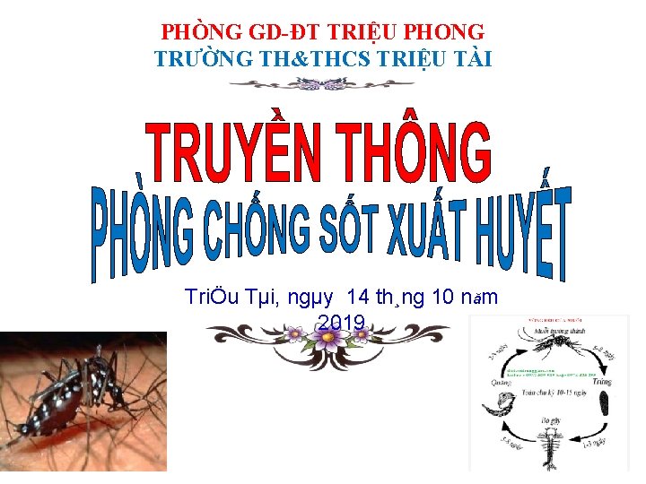 PHÒNG GD-ĐT TRIỆU PHONG TRƯỜNG TH&THCS TRIỆU TÀI TriÖu Tµi, ngµy 14 th¸ng 10