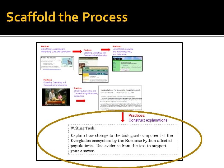 Scaffold the Process Practices: Construct explanations Writing Task: Explain how change to the biological