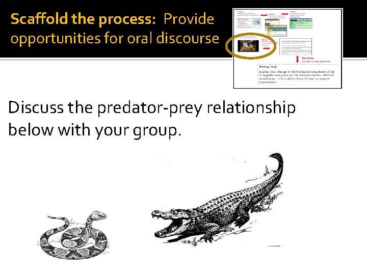 Scaffold the process: Provide opportunities for oral discourse Discuss the predator-prey relationship below with