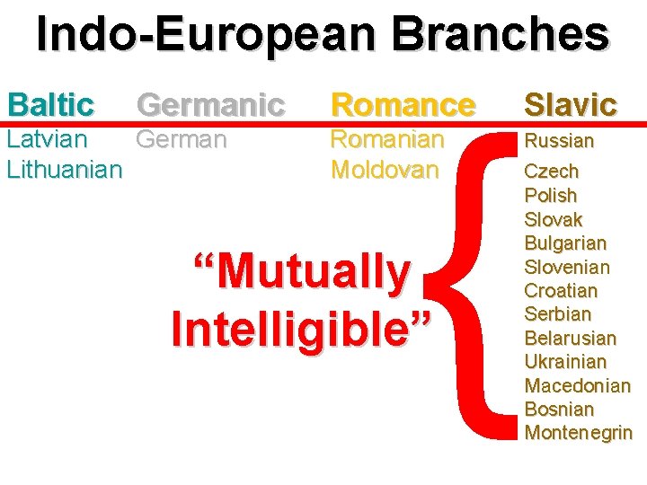 Indo-European Branches Baltic Germanic Latvian German Lithuanian { Romance Slavic Romanian Moldovan Russian Czech