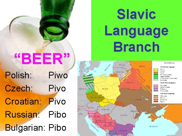  “BEER” Polish: Piwo Czech: Pivo Croatian: Pivo Russian: Pibo Bulgarian: Pibo Slavic Language