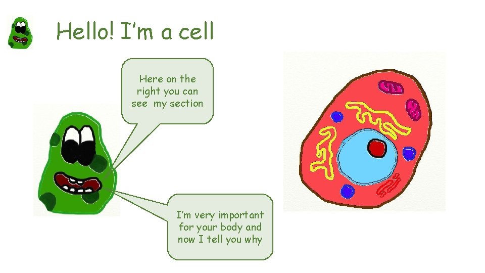 Hello! I’m a cell Here on the right you can see my section I’m
