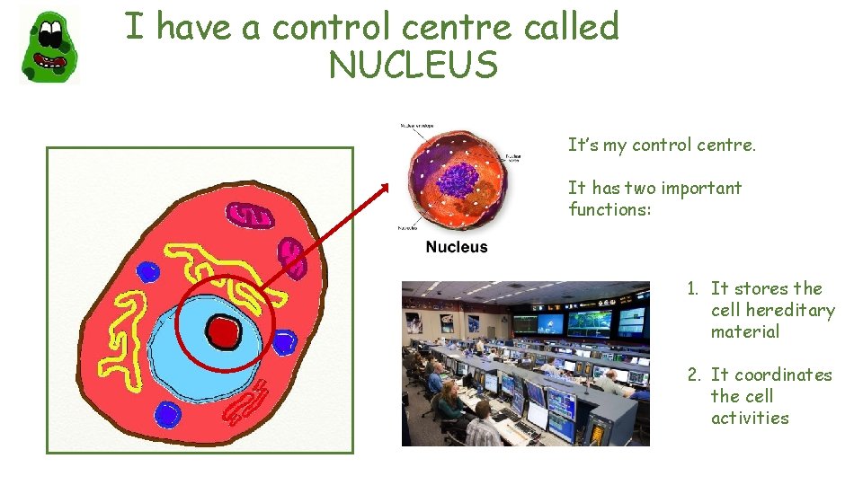 I have a control centre called _____NUCLEUS It’s my control centre. It has two