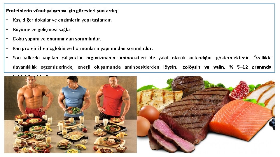 Proteinlerin vücut çalışması için görevleri şunlardır; • Kas, diğer dokular ve enzimlerin yapı taşlarıdır.