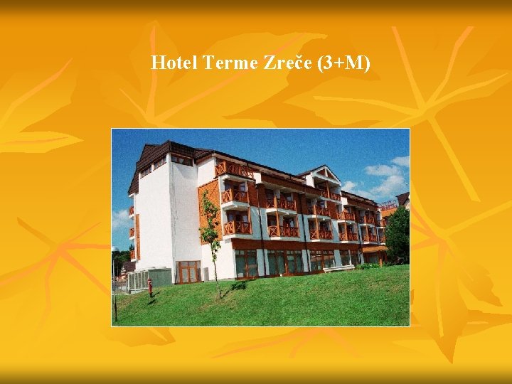 Hotel Terme Zreče (3+M) 