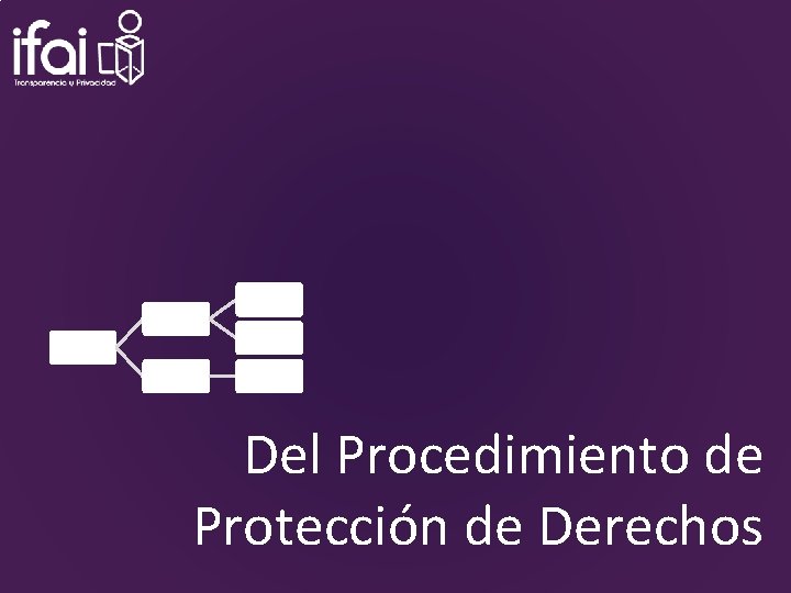 Del Procedimiento de Protección de Derechos 