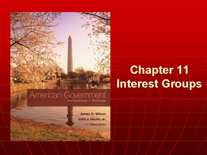 Chapter 11 Interest Groups 