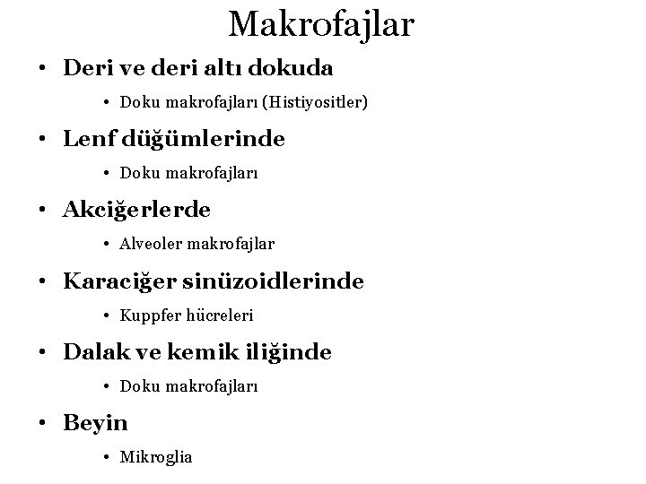 Makrofajlar • Deri ve deri altı dokuda • Doku makrofajları (Histiyositler) • Lenf düğümlerinde