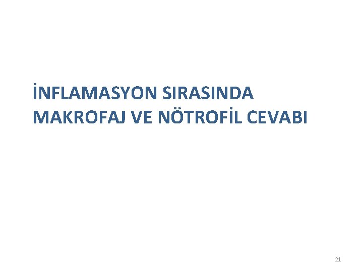 İNFLAMASYON SIRASINDA MAKROFAJ VE NÖTROFİL CEVABI 21 