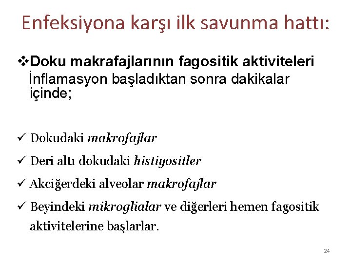 Enfeksiyona karşı ilk savunma hattı: v. Doku makrafajlarının fagositik aktiviteleri İnflamasyon başladıktan sonra dakikalar