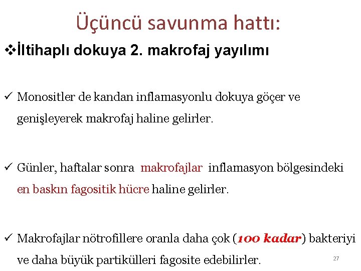 Üçüncü savunma hattı: vİltihaplı dokuya 2. makrofaj yayılımı ü Monositler de kandan inflamasyonlu dokuya