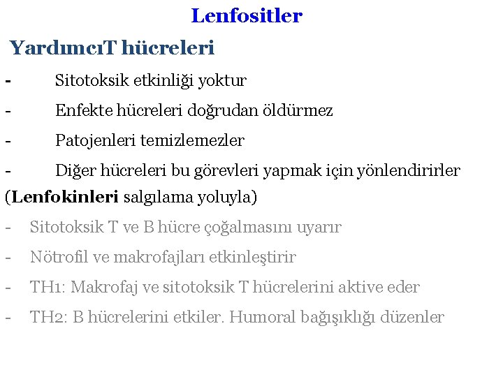 Lenfositler YardımcıT hücreleri - Sitotoksik etkinliği yoktur - Enfekte hücreleri doğrudan öldürmez - Patojenleri