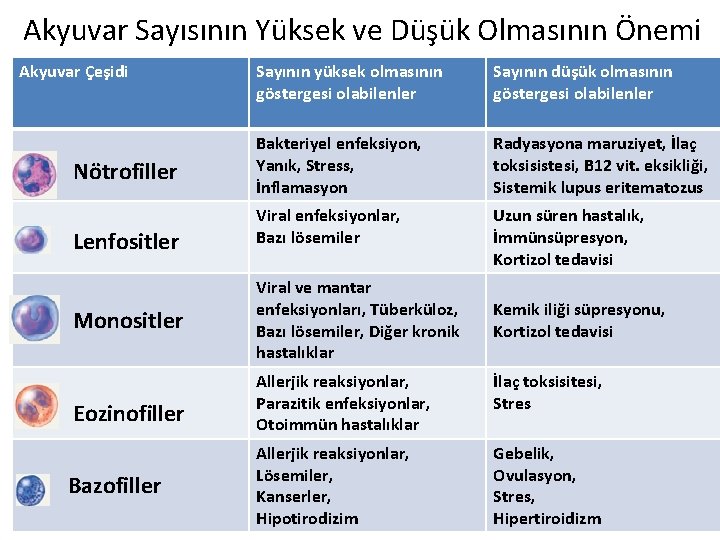 Akyuvar Sayısının Yüksek ve Düşük Olmasının Önemi Akyuvar Çeşidi Nötrofiller Lenfositler Monositler Eozinofiller Bazofiller