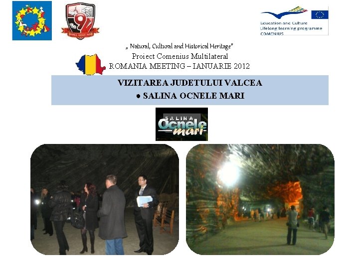 , , Natural, Cultural and Historical Heritage” Proiect Comenius Multilateral ROMANIA MEETING – IANUARIE