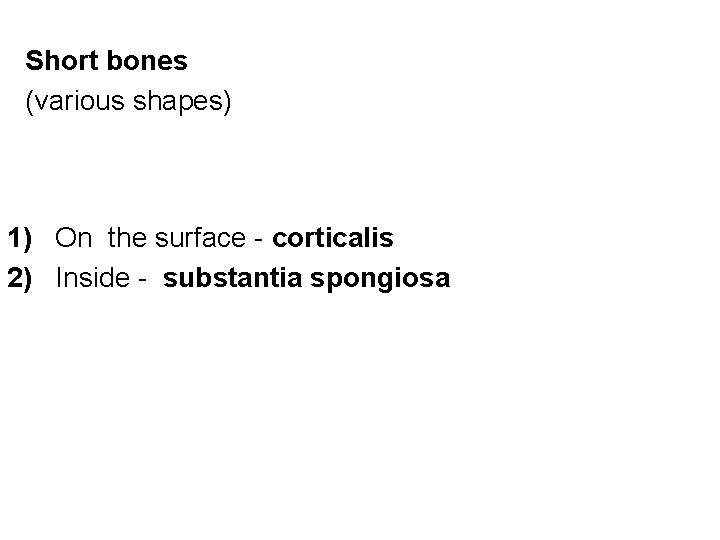Short bones (various shapes) 1) On the surface - corticalis 2) Inside - substantia