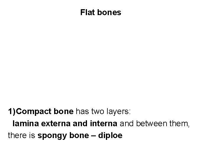 Flat bones 1) Compact bone has two layers: lamina externa and interna and between