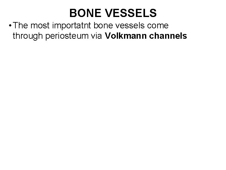 BONE VESSELS • The most importatnt bone vessels come through periosteum via Volkmann channels