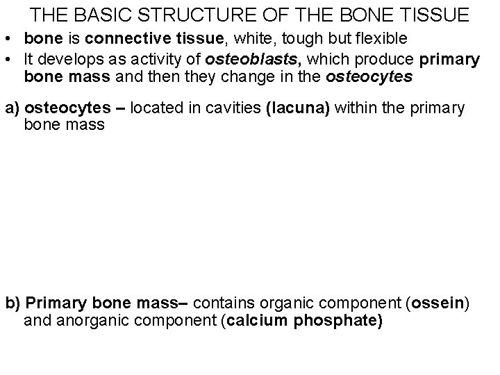 THE BASIC STRUCTURE OF THE BONE TISSUE • bone is connective tissue, white, tough