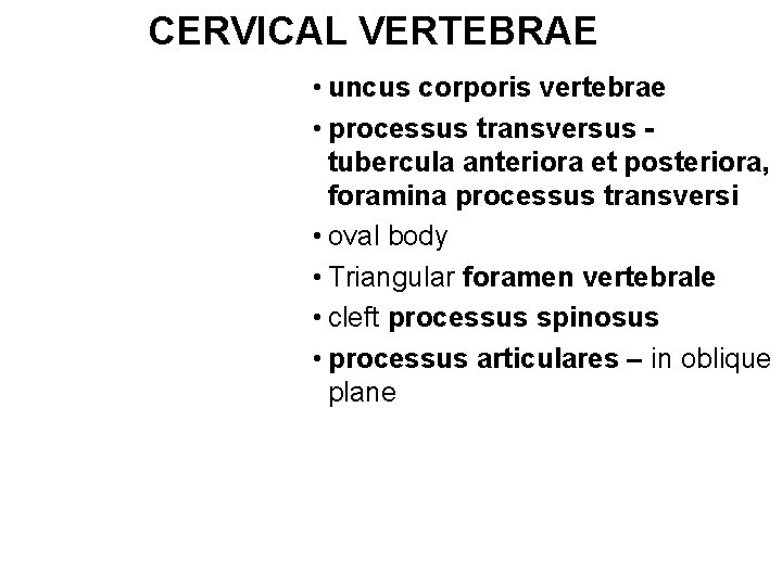 CERVICAL VERTEBRAE • uncus corporis vertebrae • processus transversus tubercula anteriora et posteriora, foramina