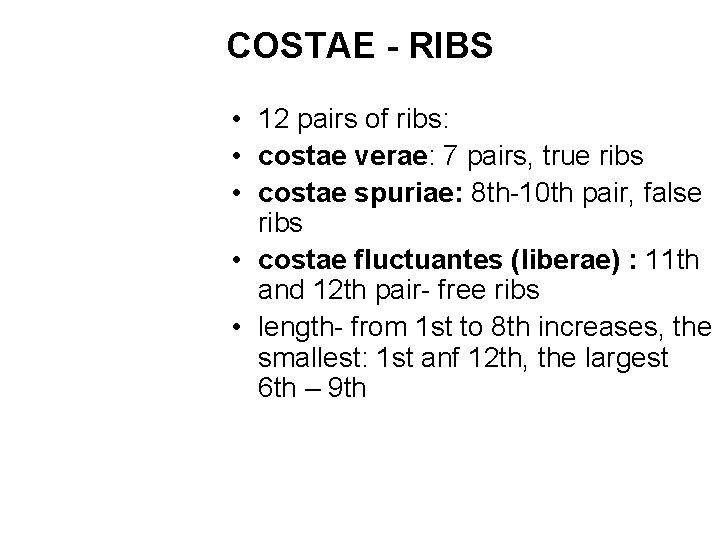 COSTAE - RIBS • 12 pairs of ribs: • costae verae: 7 pairs, true