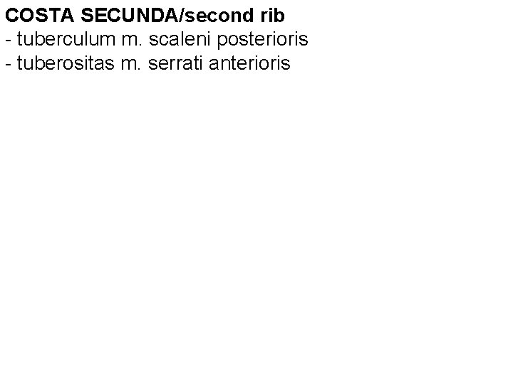 COSTA SECUNDA/second rib - tuberculum m. scaleni posterioris - tuberositas m. serrati anterioris 