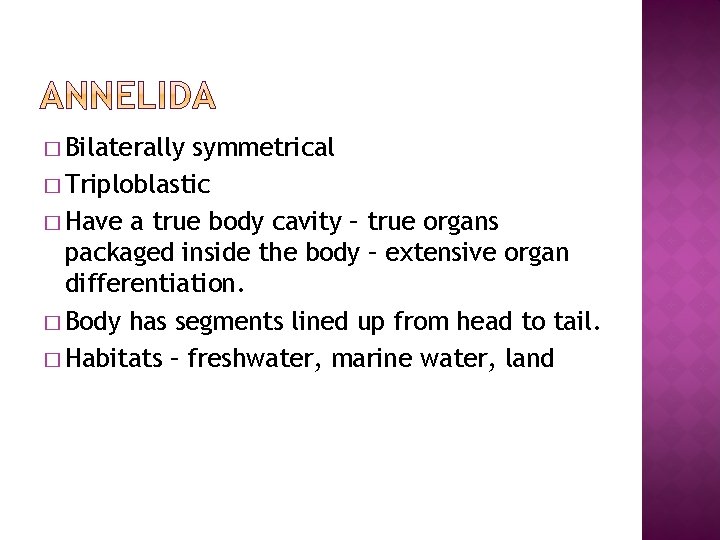 � Bilaterally symmetrical � Triploblastic � Have a true body cavity – true organs