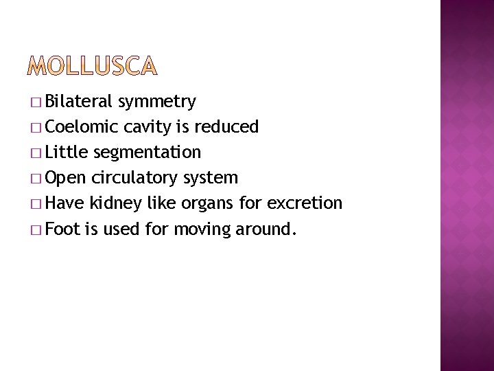 � Bilateral symmetry � Coelomic cavity is reduced � Little segmentation � Open circulatory